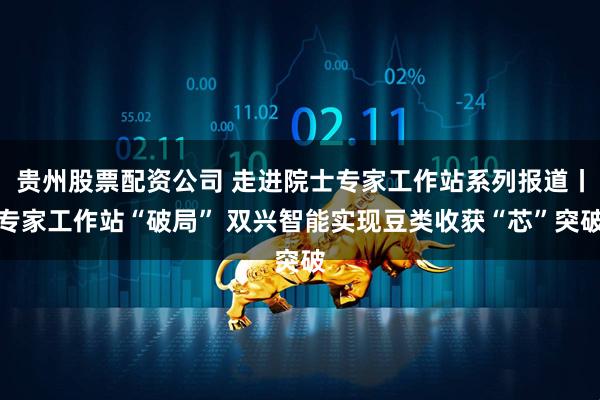 贵州股票配资公司 走进院士专家工作站系列报道丨专家工作站“破局” 双兴智能实现豆类收获“芯”突破