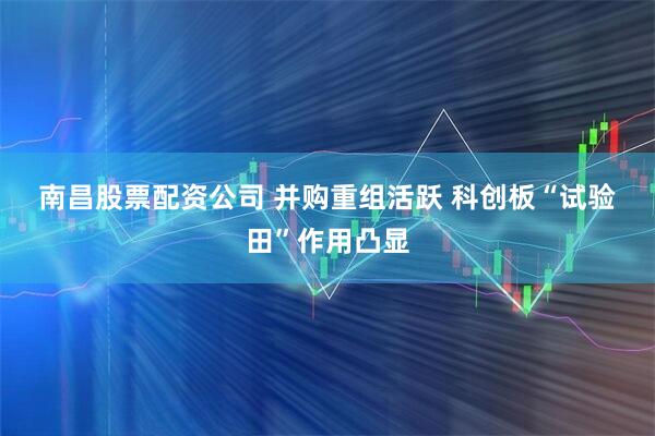 南昌股票配资公司 并购重组活跃 科创板“试验田”作用凸显
