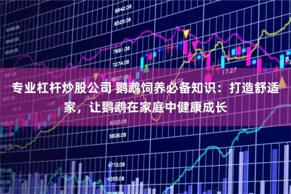 专业杠杆炒股公司 鹦鹉饲养必备知识：打造舒适家，让鹦鹉在家庭中健康成长