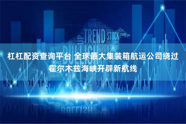 杠杠配资查询平台 全球最大集装箱航运公司绕过霍尔木兹海峡开辟新航线